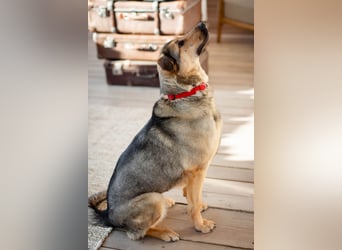 Wunderschöne Musya wartet auf dich