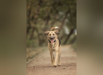 Totoshka sucht liebevolle Menschen