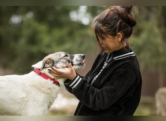 Julia will liebe und Geborgenheit