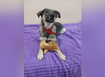 Verzaubert Lori dich mit ihren augen ?!