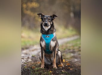 Liebevolle Olivka sucht ihren platz