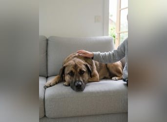 Aksi möchte ihre ganze Liebe zeigen