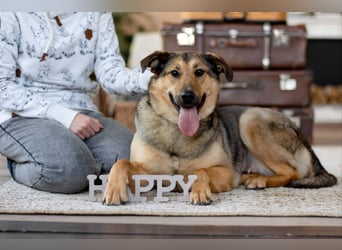 Wunderschöne Musya wartet auf dich