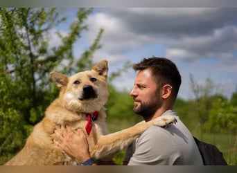 Skye treue seele sucht ....