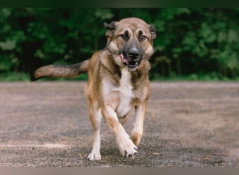 Aksi möchte ihre ganze Liebe zeigen