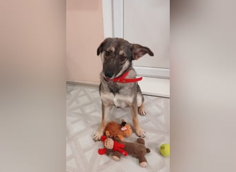 Verzaubert Lori dich mit ihren augen ?!