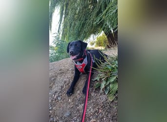 Freundlicher Justin liebt das Leben