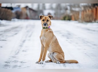 Kasper der wunderschöne...