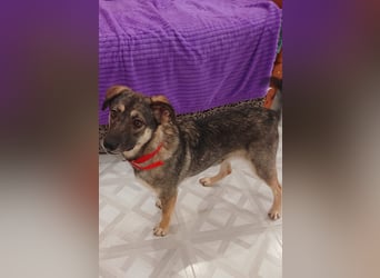 Verzaubert Lori dich mit ihren augen ?!