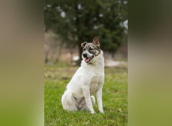 Julia will liebe und Geborgenheit