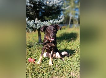 Junger lieber Roni sucht ....