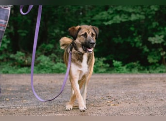 Aksi möchte ihre ganze Liebe zeigen