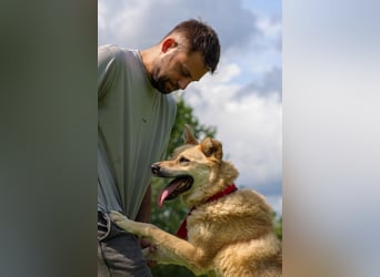 Skye treue seele sucht ....