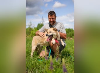 Skye treue seele sucht ....