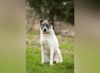 Julia will liebe und Geborgenheit