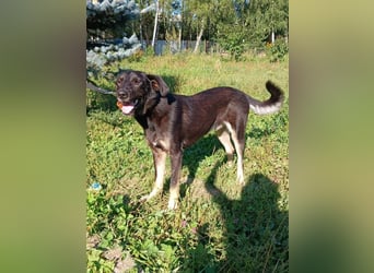 Junger lieber Roni sucht ....