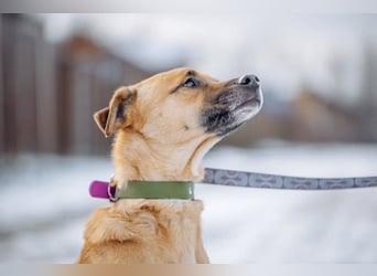 Kasper der wunderschöne...