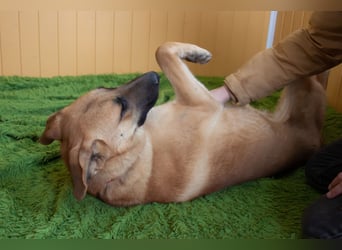 Junge hübsche Leia sucht Familie