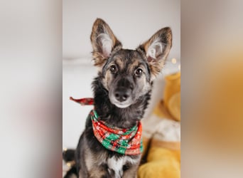 Verzaubert dich die kleine Lisa ?!