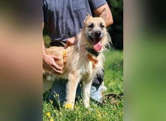 Arisu sucht Familie für immer