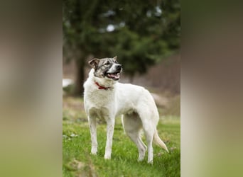 Julia will liebe und Geborgenheit