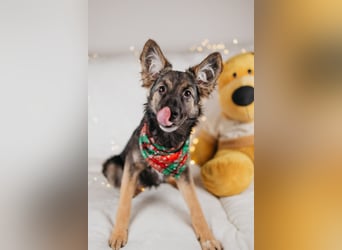 Verzaubert dich die kleine Lisa ?!