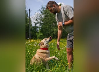 Skye treue seele sucht ....