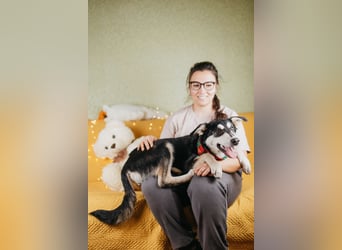 Süße Mia wartet auf ihre Menschen