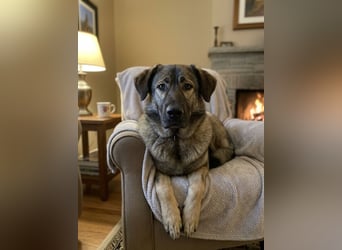 Selbstbewusste Tosya sucht aktive Menschen