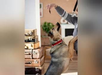 Wunderschöne Musya wartet auf dich