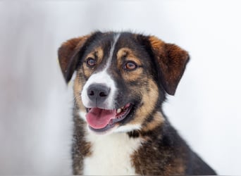 Havier sucht ein aktives Leben...