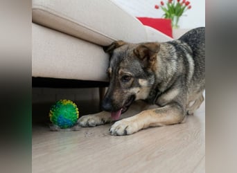 Liebevolle Olivka sucht ihren platz