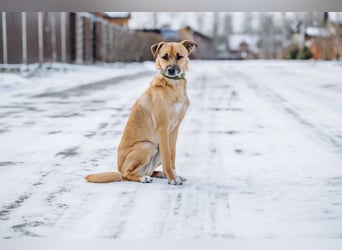 Kasper der wunderschöne...