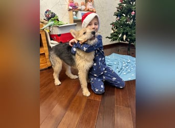 Lustige Jersey verzaubert alle