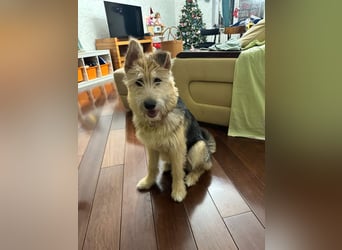 Lustige Jersey verzaubert alle