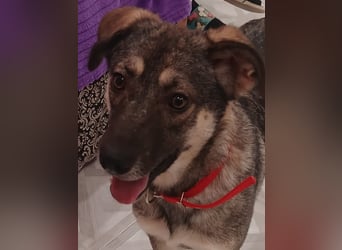 Verzaubert Lori dich mit ihren augen ?!