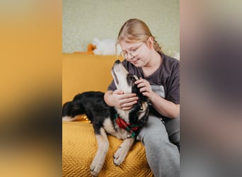 Süße Mia wartet auf ihre Menschen