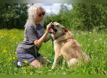 Skye treue seele sucht ....