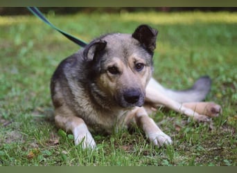 Lyon möchte endlich Liebe und wärme spüren