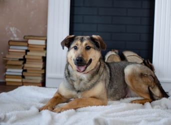 Wunderschöne Musya wartet auf dich