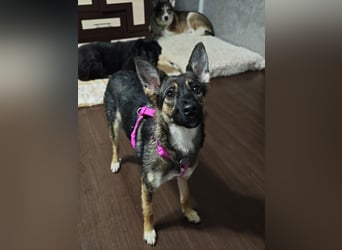 Charmante Betty sucht Familie