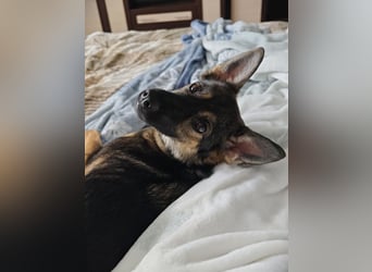 Charmante Betty sucht Familie