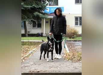 Mike sucht Traumzuhause