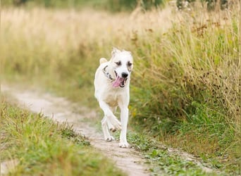 Kannst du Nemo lieben trotz handicap?!