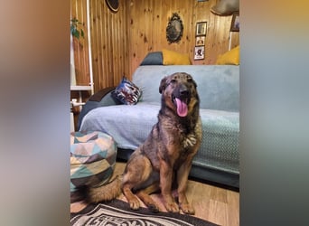 Ein Herz für Vasilisa geben Sie ihr eine Chance auf ein glückliches Leben!