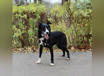 Mike sucht Traumzuhause