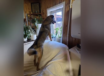 Ein Herz für Vasilisa geben Sie ihr eine Chance auf ein glückliches Leben!