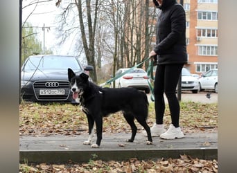 Mike sucht Traumzuhause