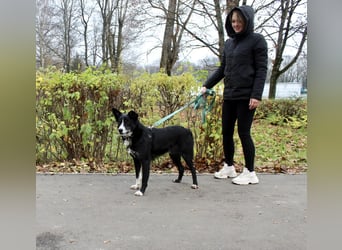 Mike sucht Traumzuhause