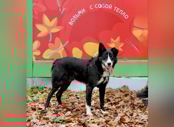 Mike sucht Traumzuhause